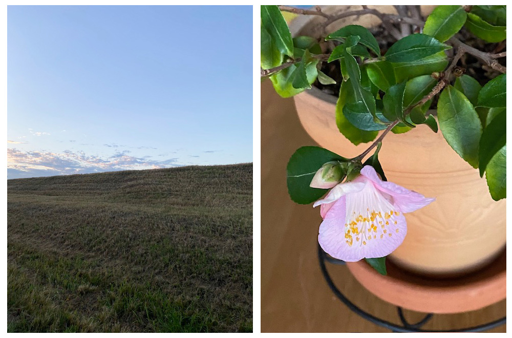 みらいのページ