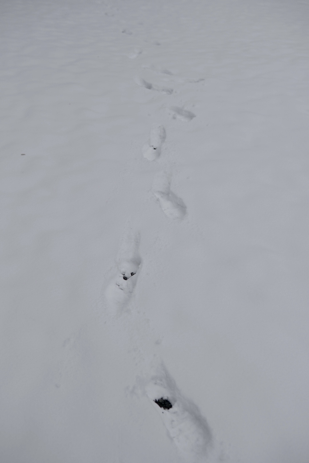 かたづくるもの