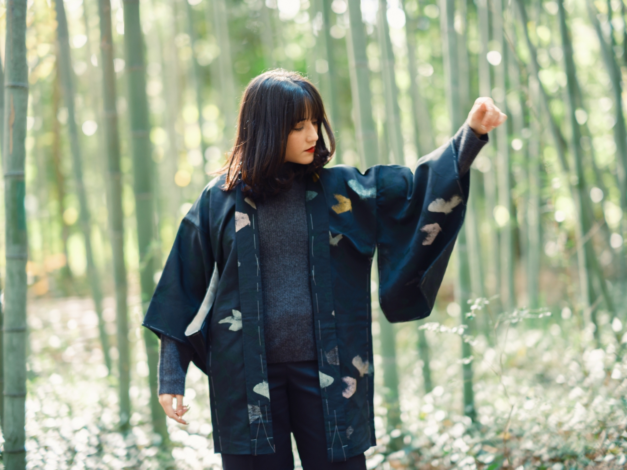 Kyoto HAORI culture of Colored & Black haori.