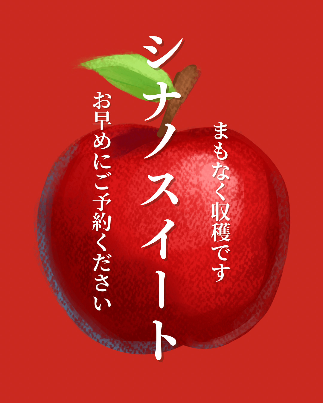 シナノスイート週明けには収穫配送予定です