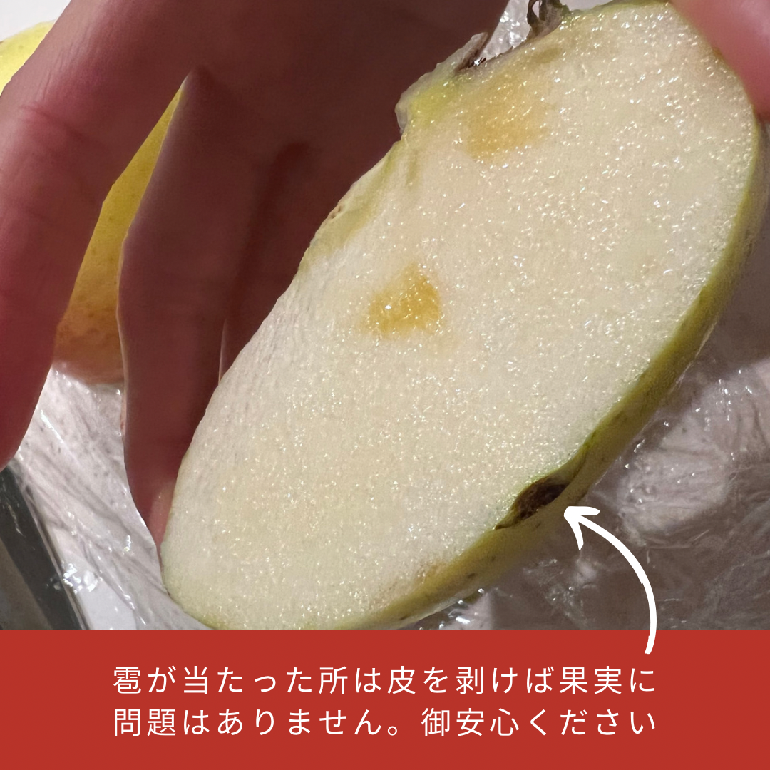 傷あり商品について