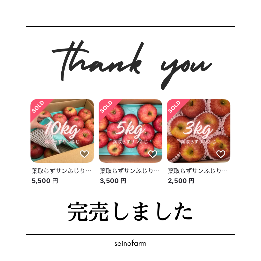 お陰様で葉取らずサンふじが完売いたしました🍎