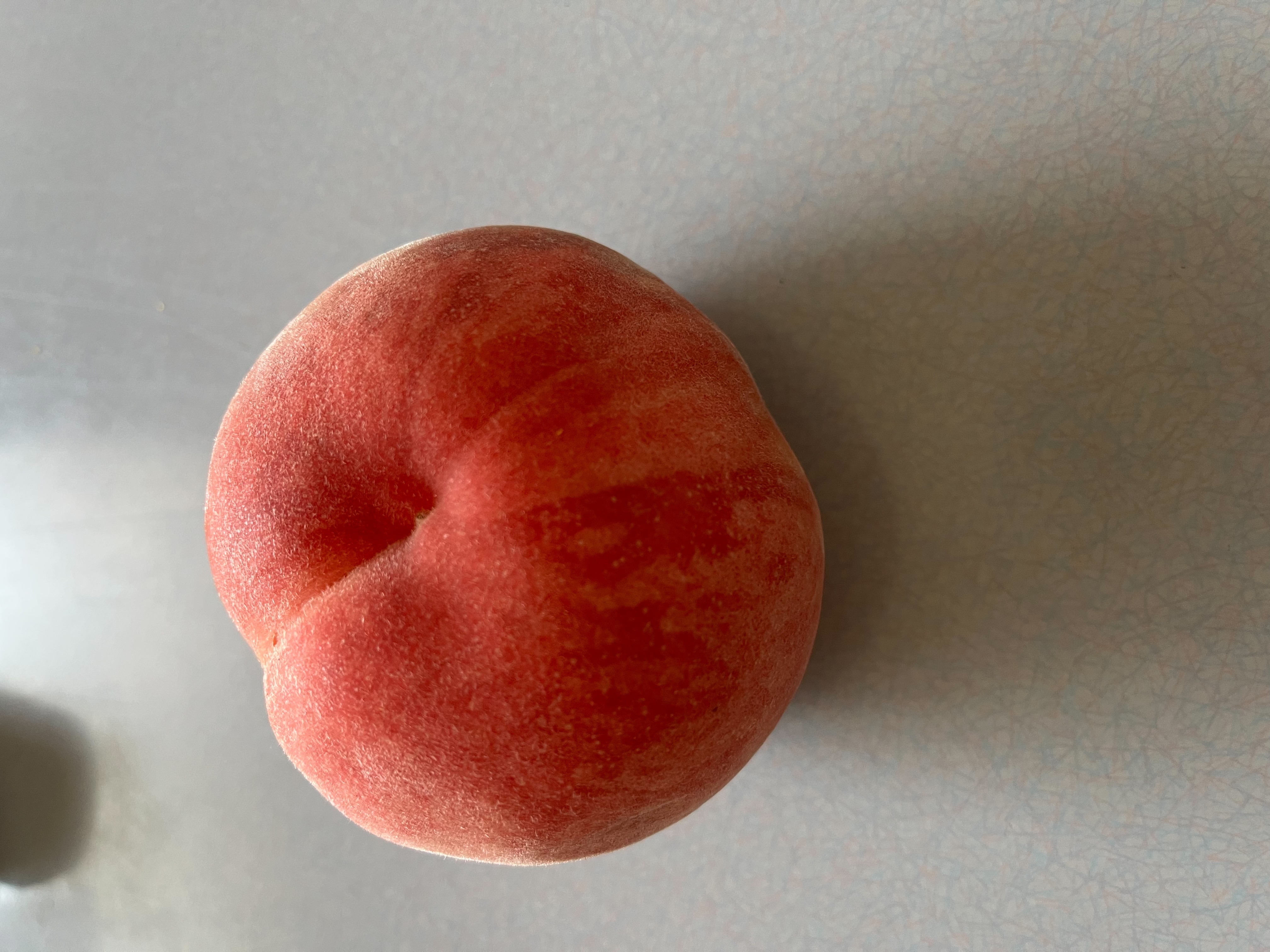 限定10箱「暁星」販売します