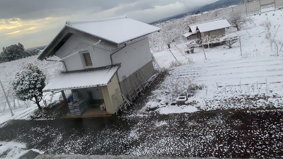 福島雪積もりました。