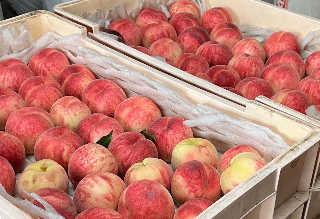 あかつき・まどかご予約終了のご案内