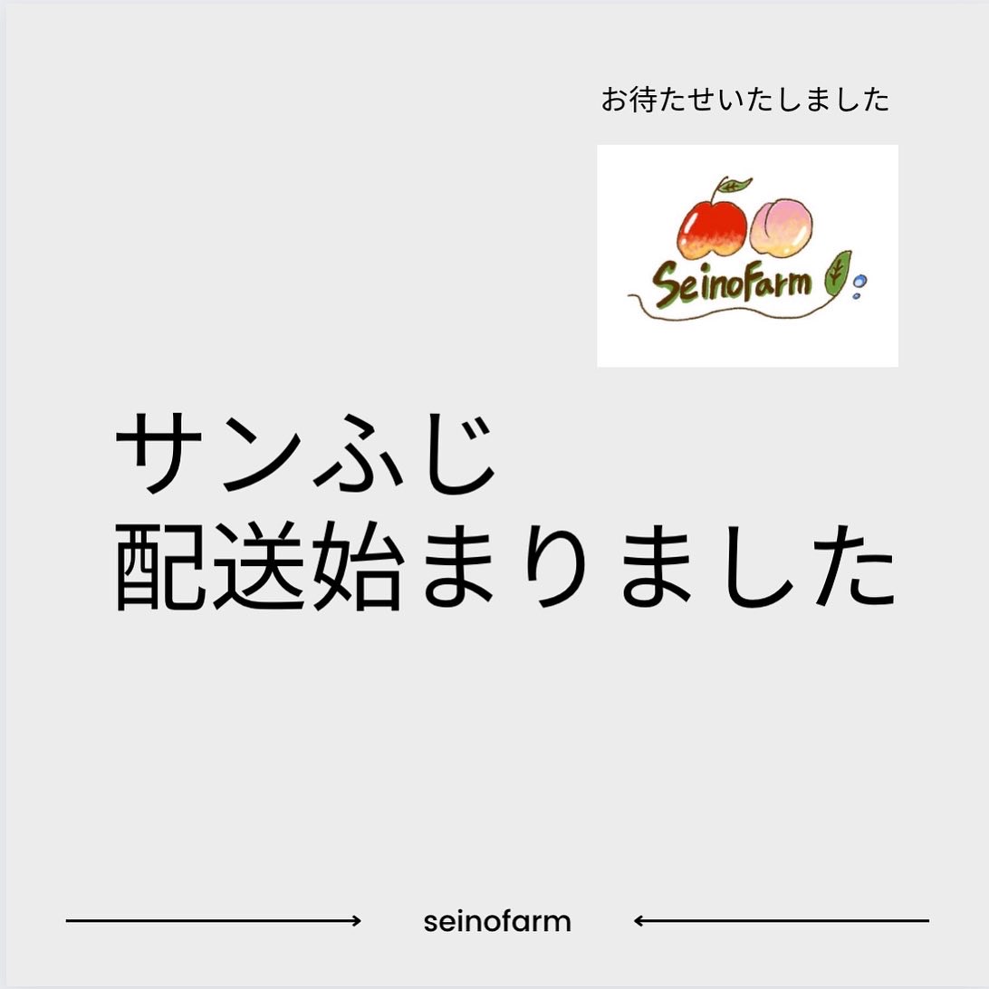 サンふじ配送スタート！