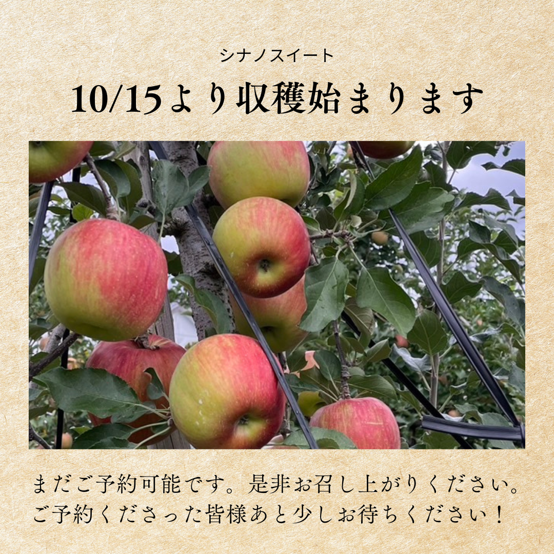 10/15収穫予定