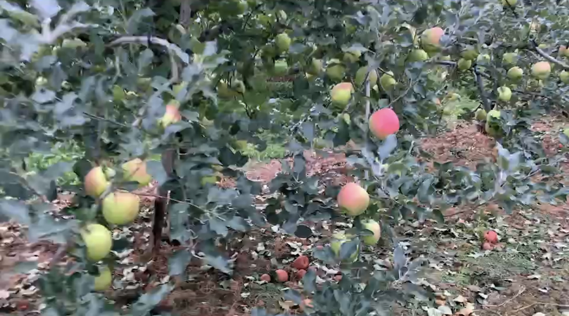 2022.9.20の台風