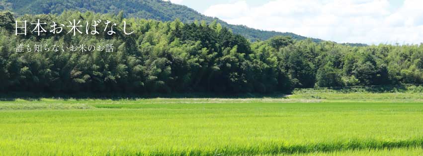 日本お米ばなし vol.28 調理編「夏こそ気をつけたいお米の保存方法」