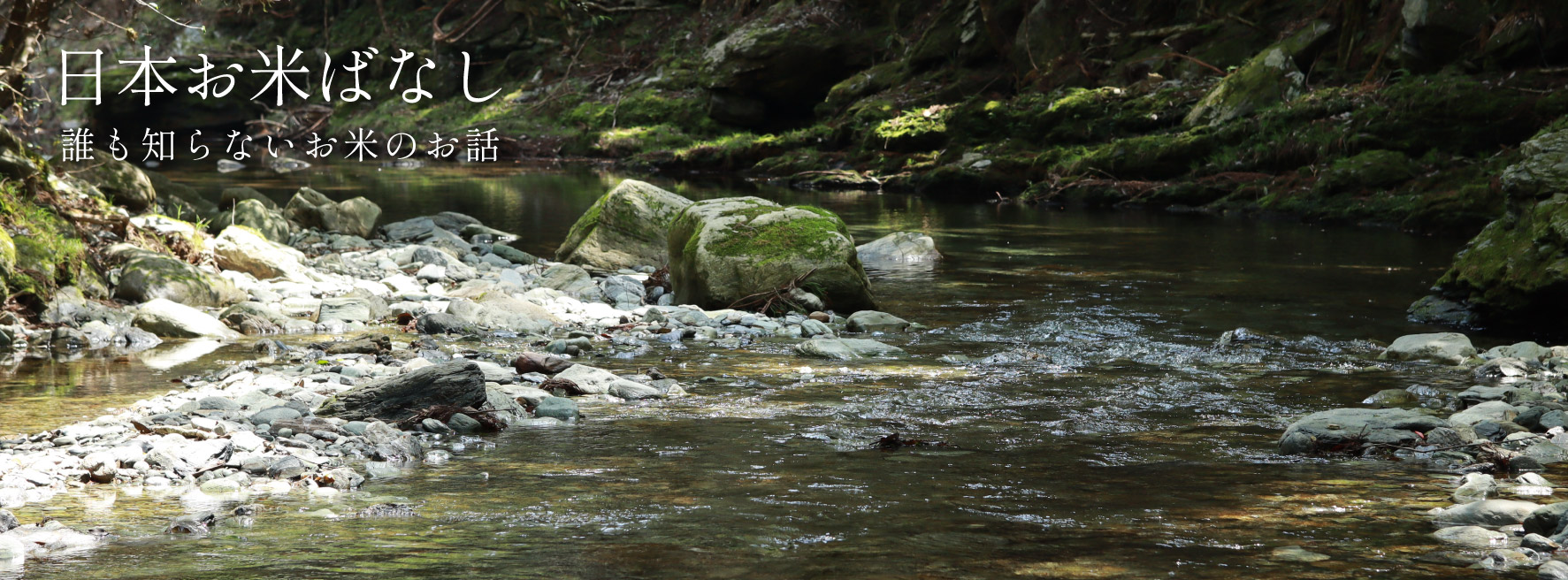 日本お米ばなし vol.70 「お米が値上がりと買い控えの先にあるもの」