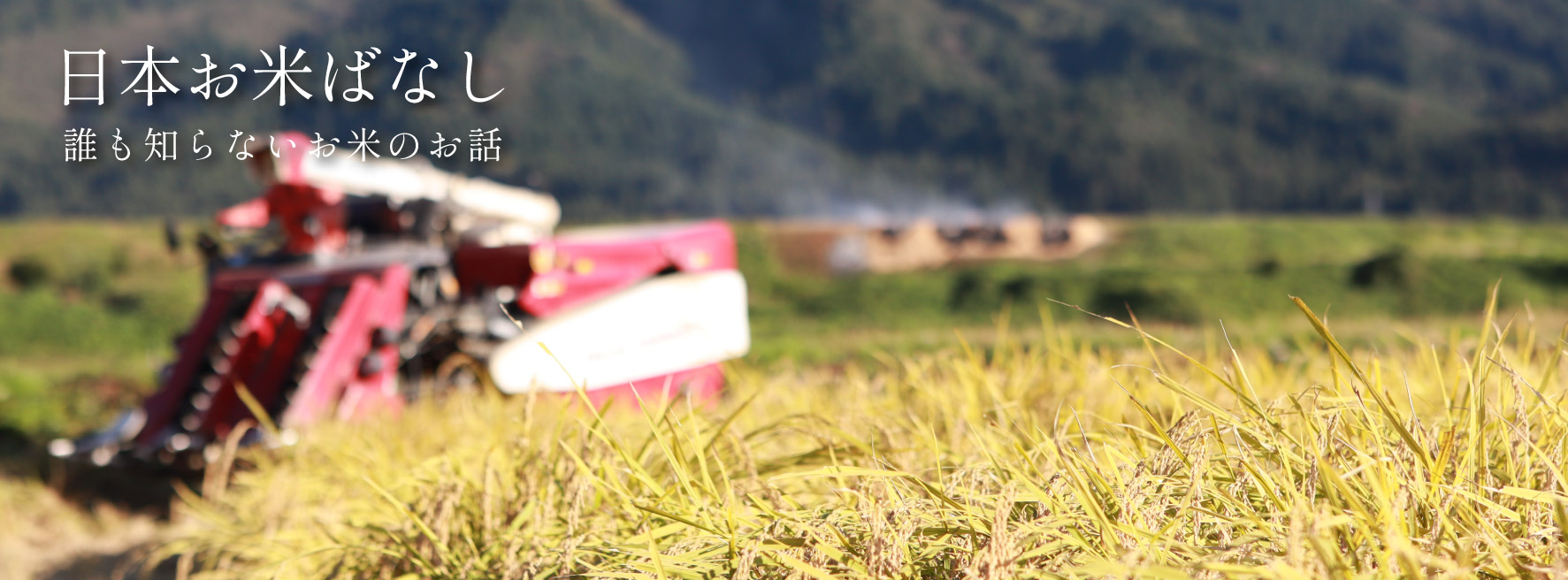 日本お米ばなし vol.74「新米と古米で研ぎ方や水加減は変えるべき?」