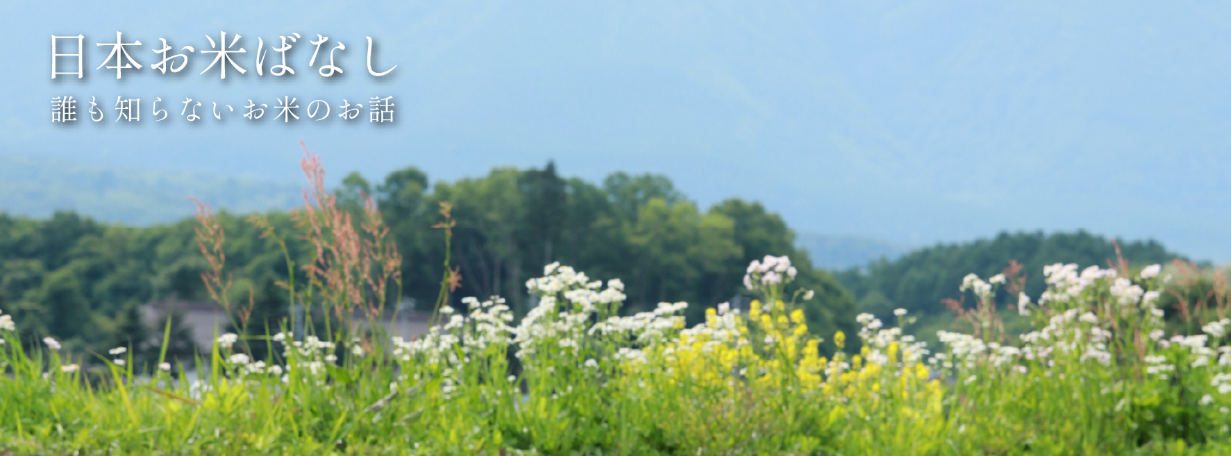 日本お米ばなし vol.77「梅雨時期のお米保存:プロが教える鮮度を守る秘訣と理想の保存環境」