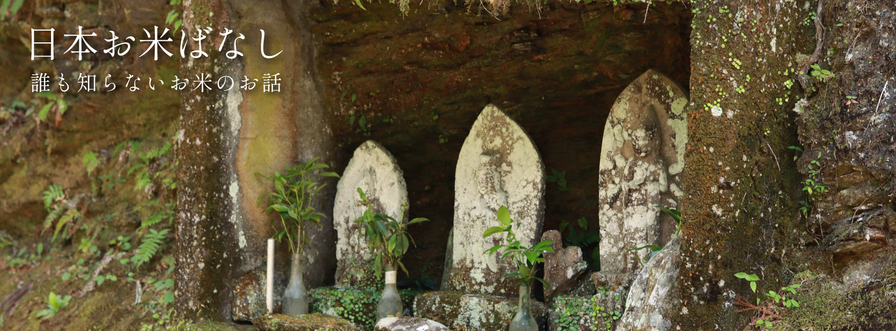 日本お米ばなし vol.71 「化学肥料の“ほぼ全量輸入”が示すもの」