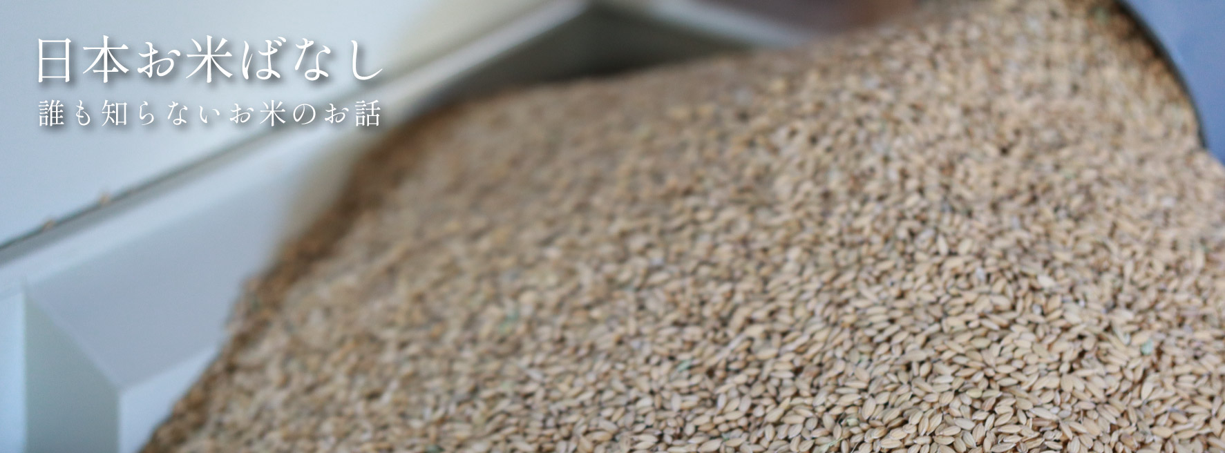 日本お米ばなし vol.73 「五ツ星お米マイスターが教える正しいお米の研ぎ方は？」