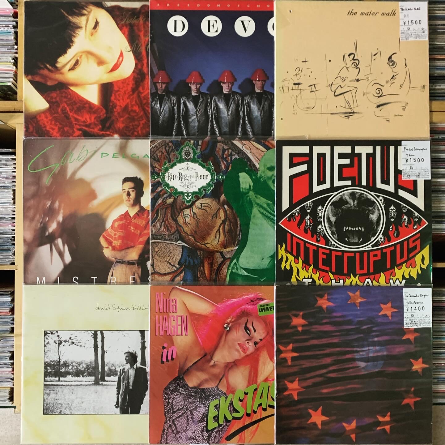 5月1週目 新入荷 LP ロック ニューウェーヴ