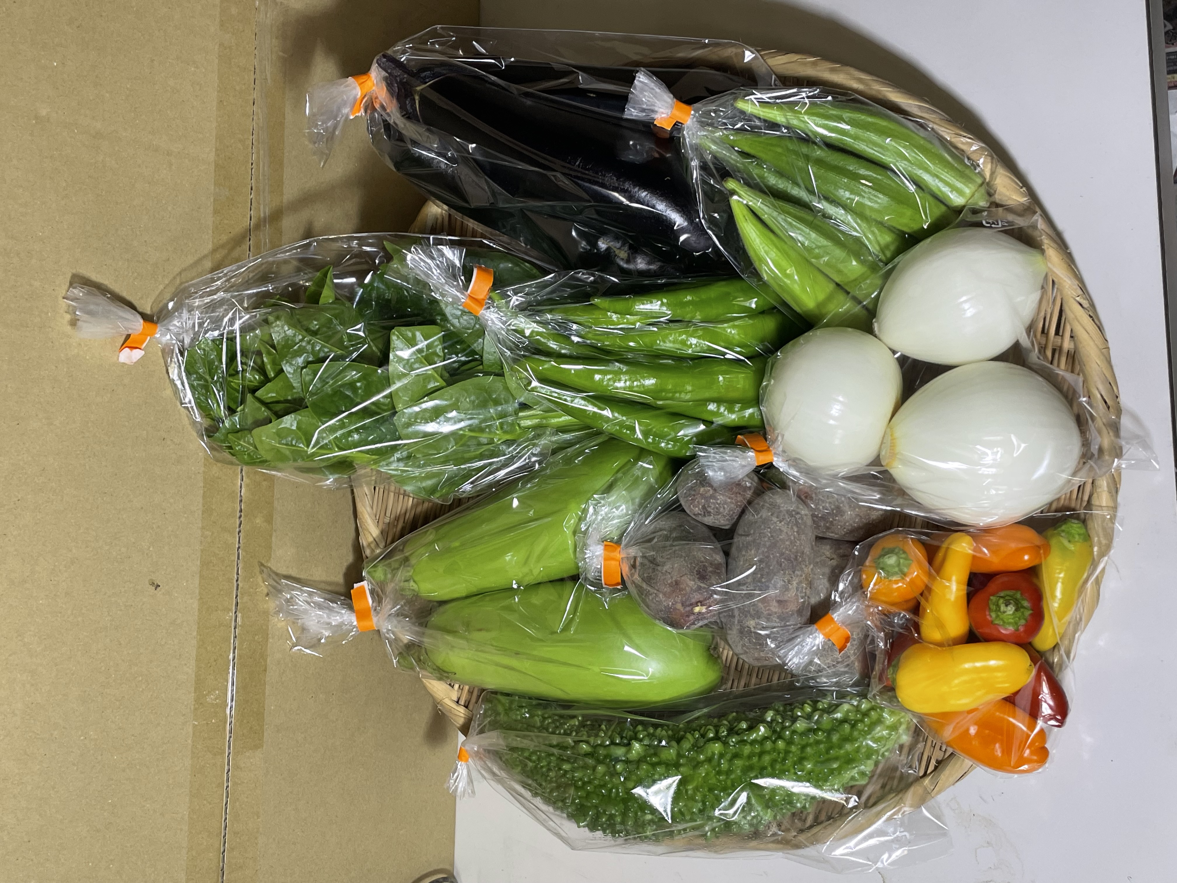 2025/9/5金野菜セットM