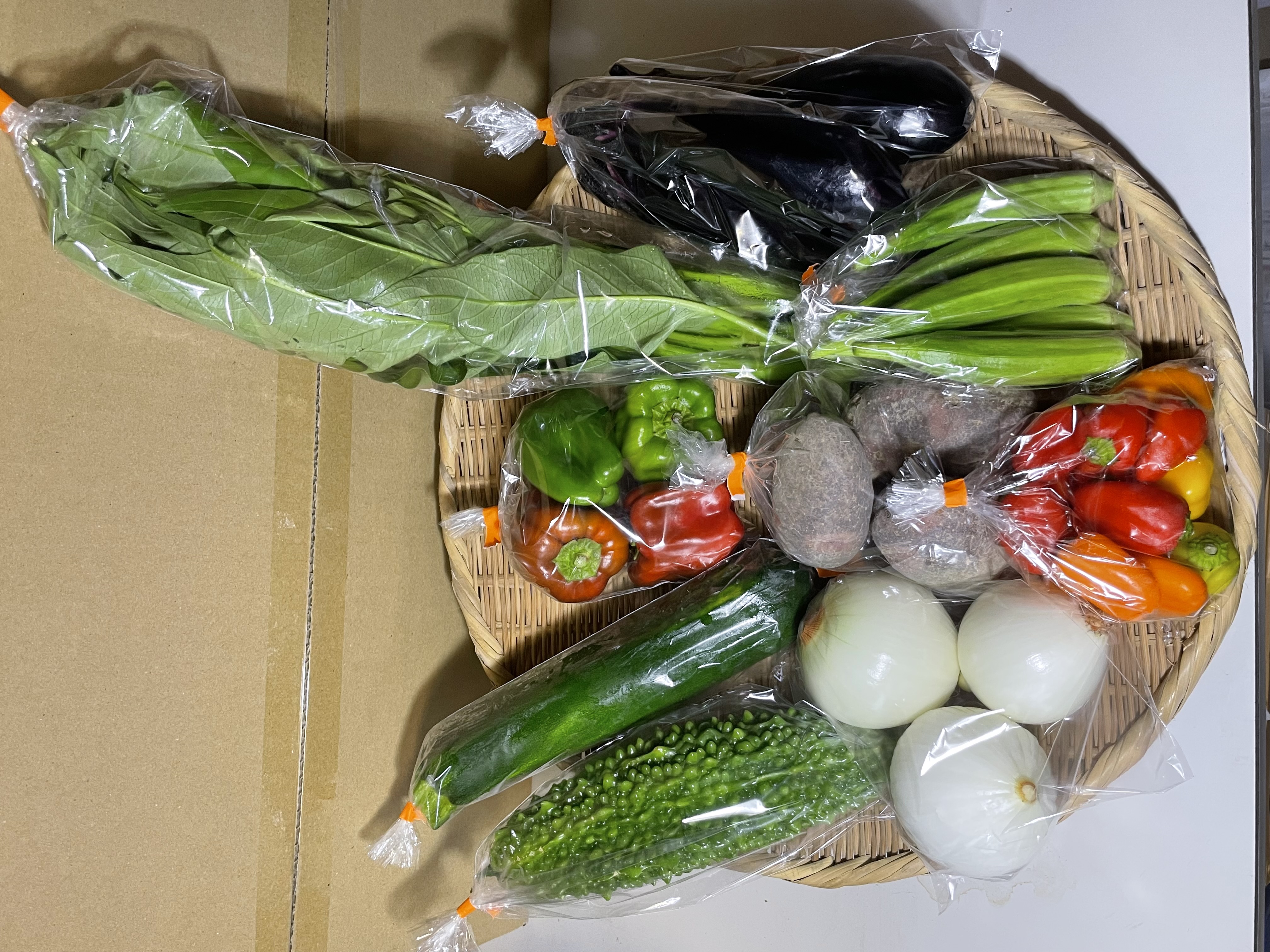 2025/8/22(金)野菜セットM