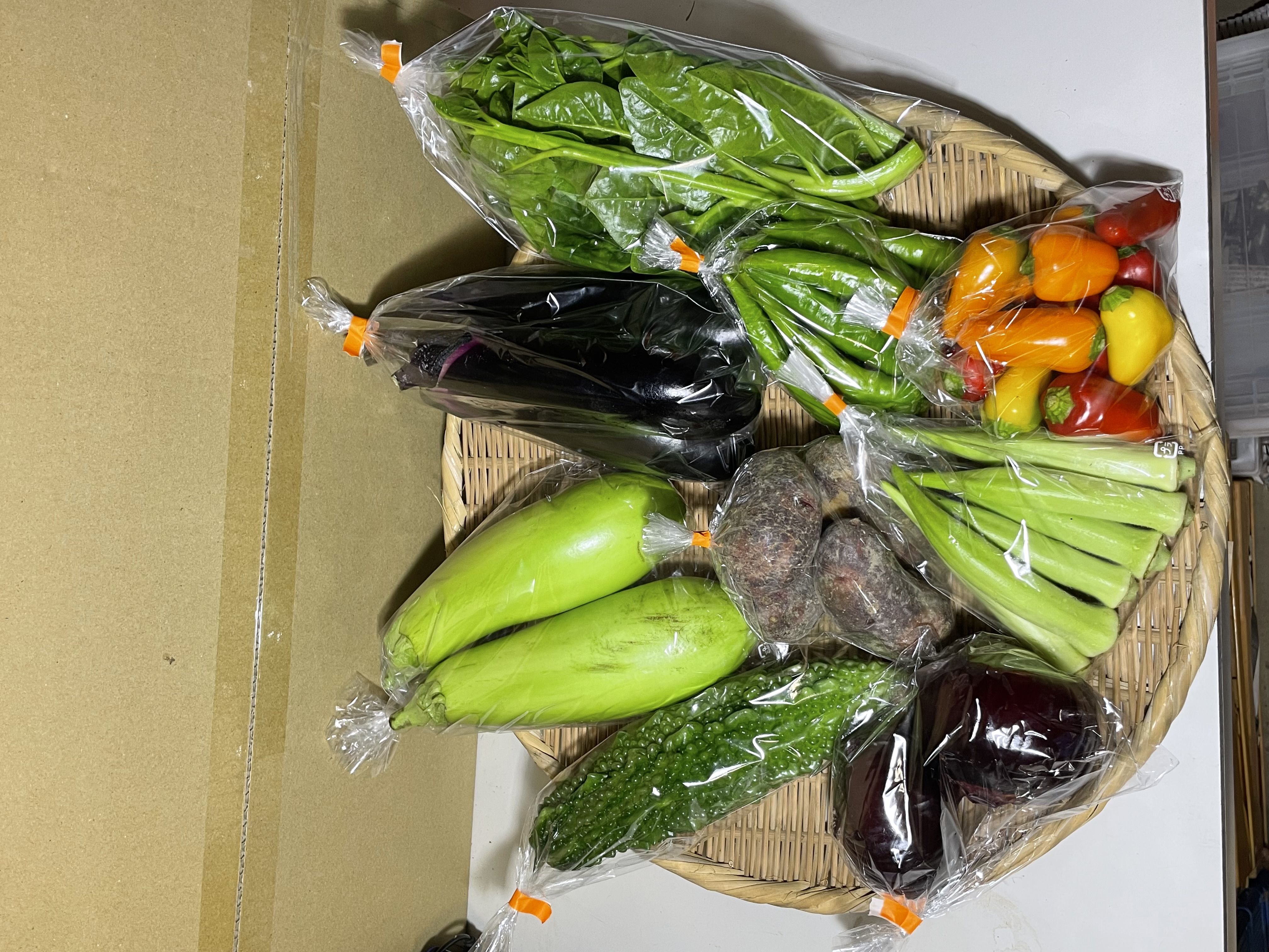 2025/9/12(金)野菜セットM