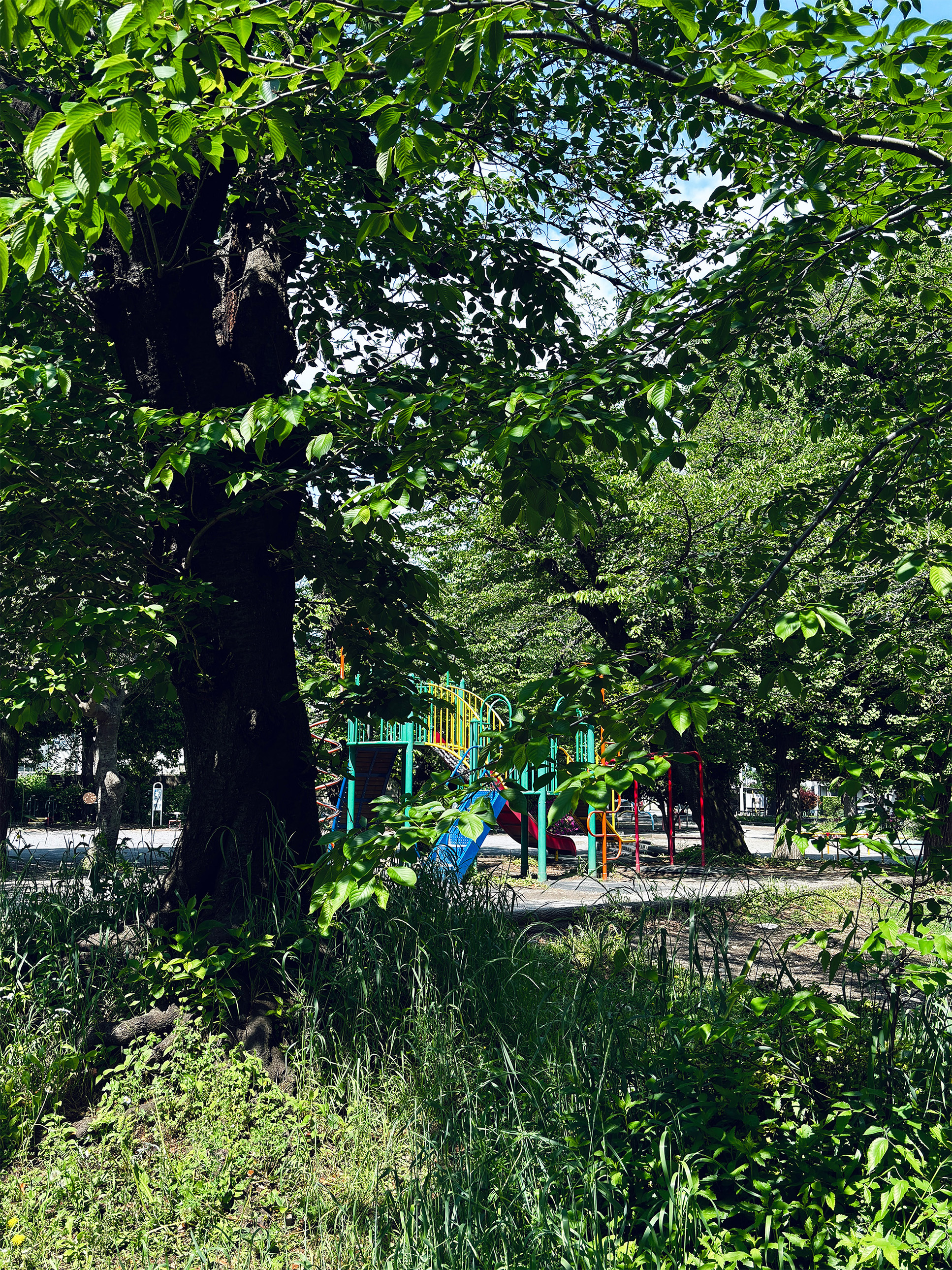 Park