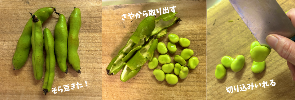 [レシピ_#26] そら豆茹でよう！