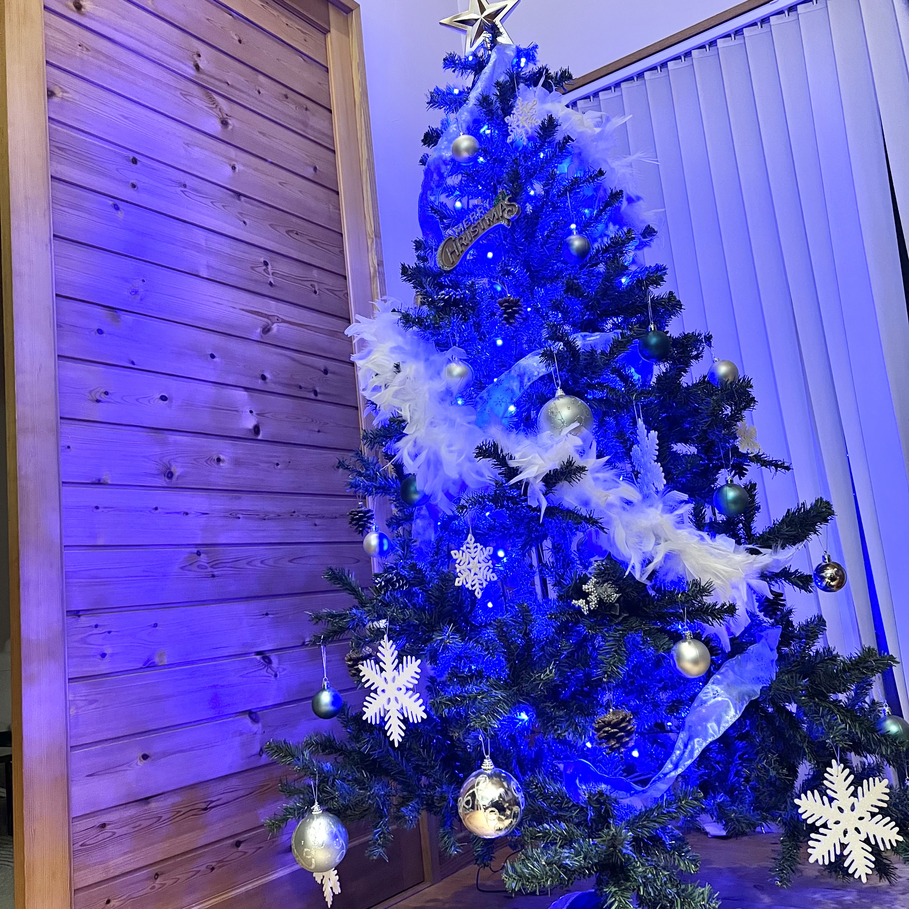 クリスマスツリー登場！　2022.12.4