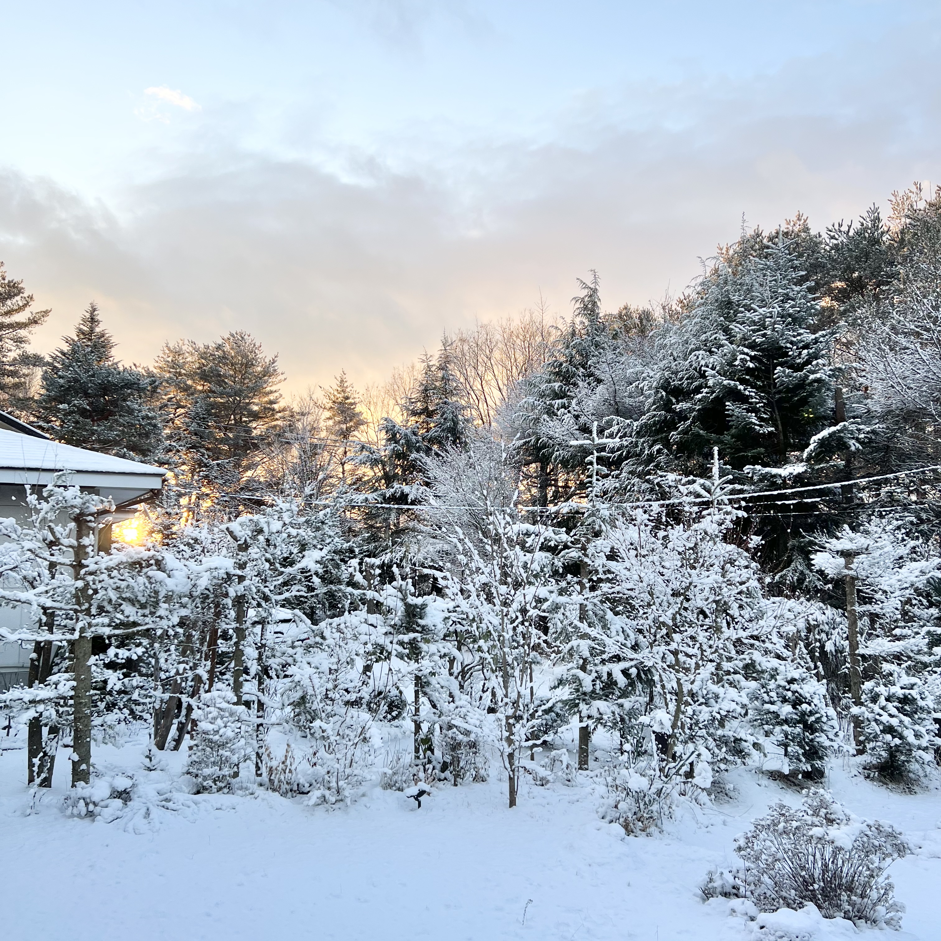 HAPPY BAG 2023　福袋ですね！　2022.12.18