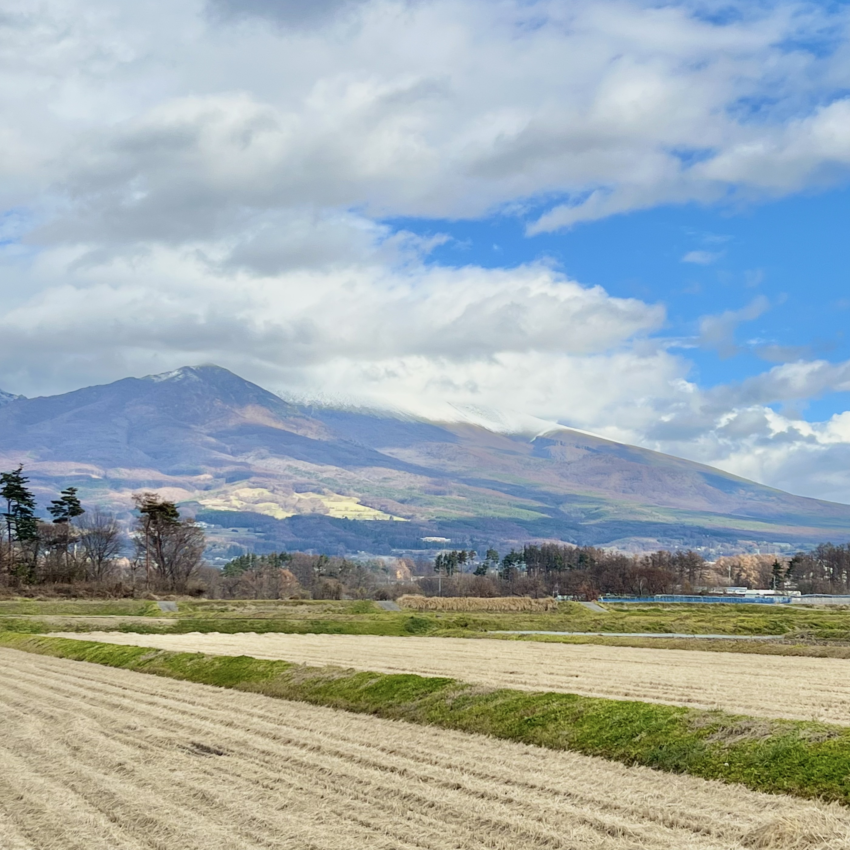 ことちく定期便スタート！　2022.11.27