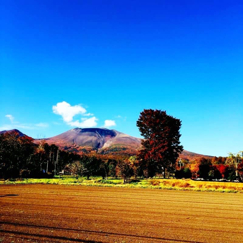 深まる秋。2022.10.30