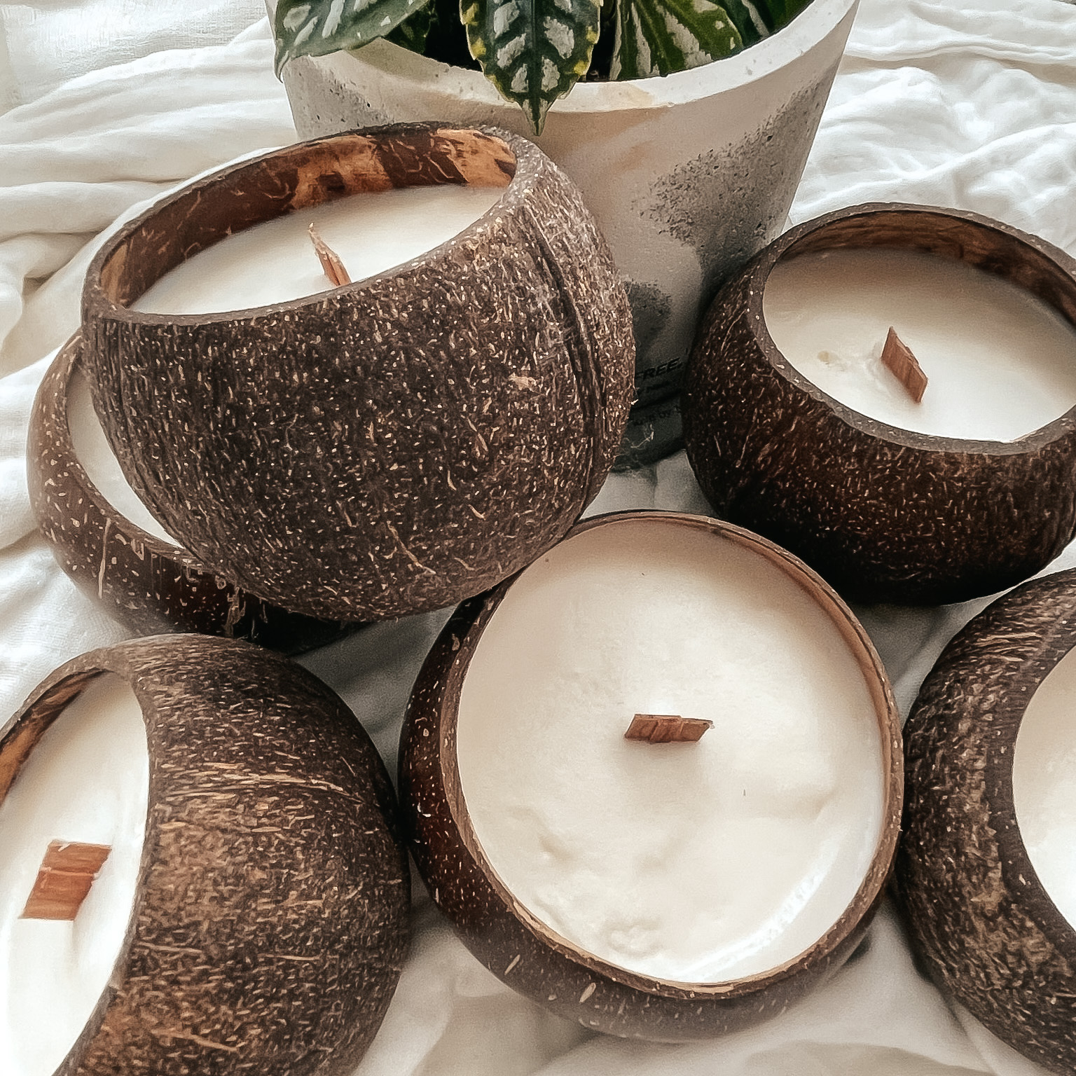 ココナッツキャンドルのトリセツ🥥🌴