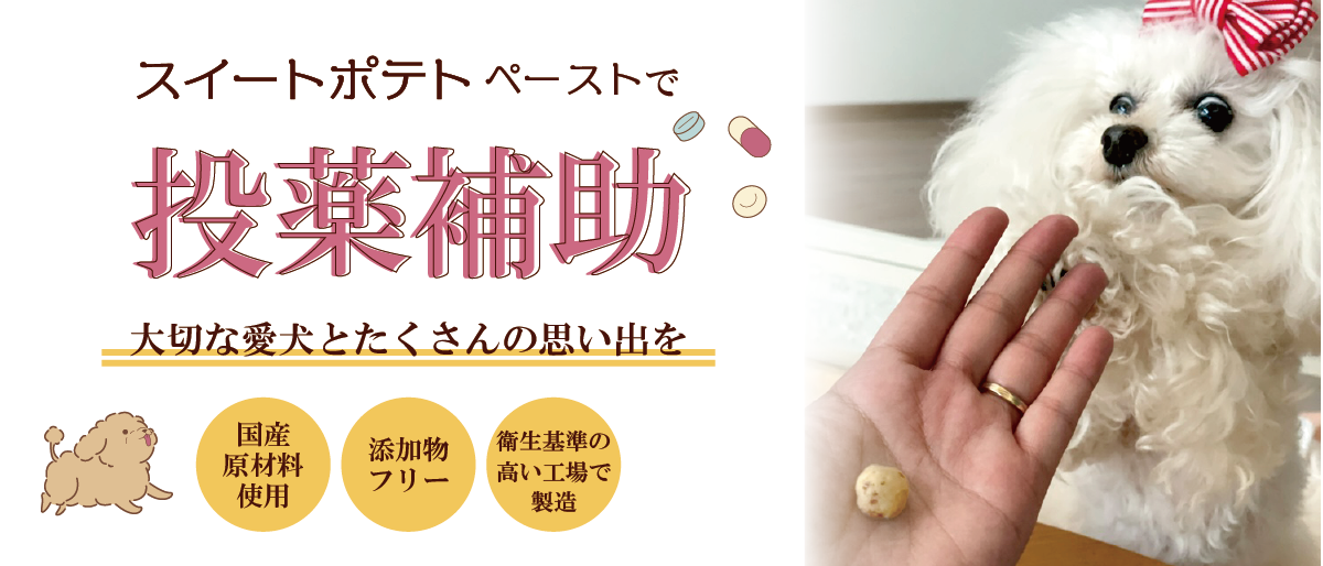 【ワンデーズお役立ち特集】スイートポテトペーストは 投薬補助にピッタリ♪