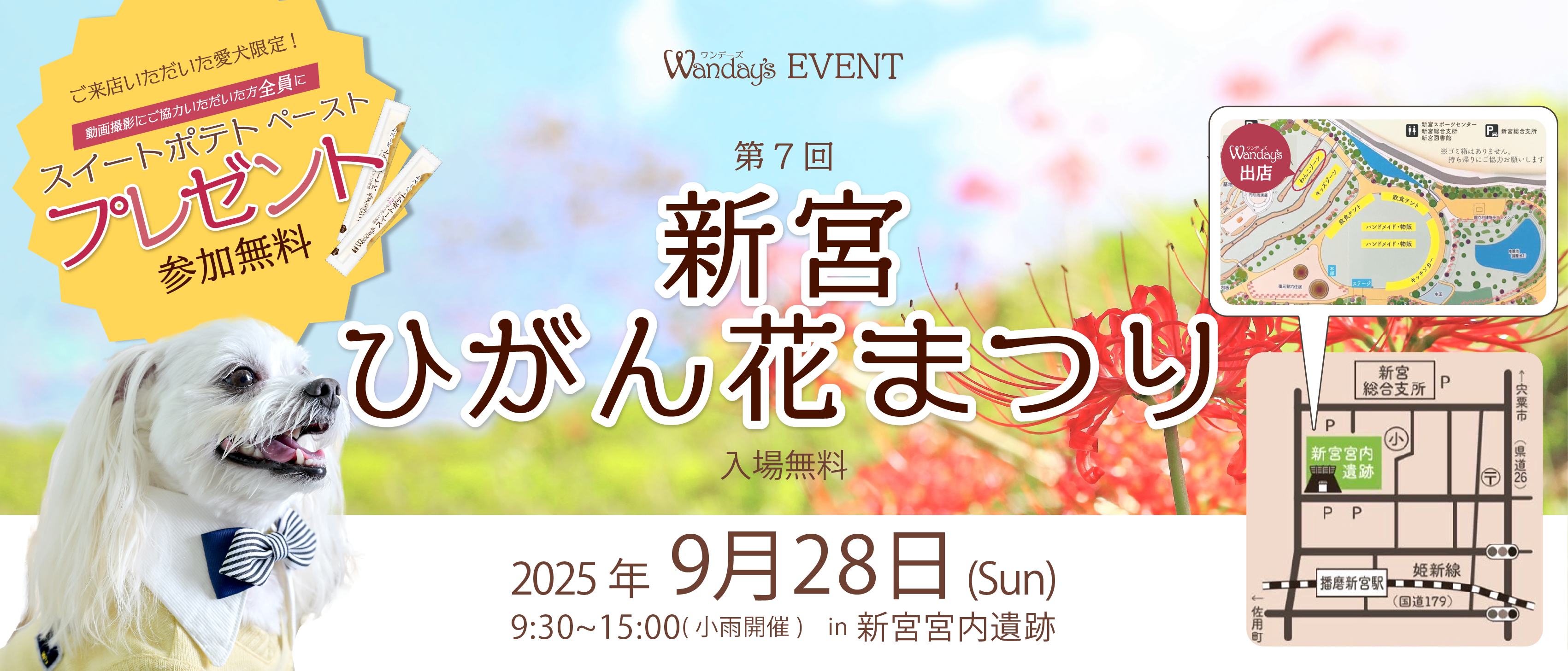 【°˖✧EVENT出店情報✧°˖】今年もプレゼント企画実施!ひがん花祭り出店決定