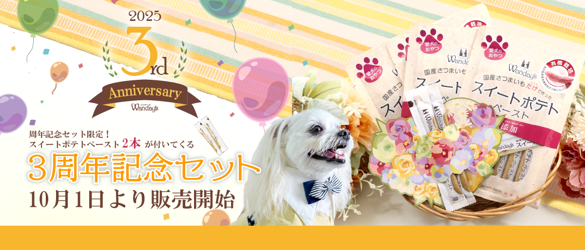 【°˖✧新商品告知!!✧°˖】ワンデーズ3周年記念セット好評発売中!