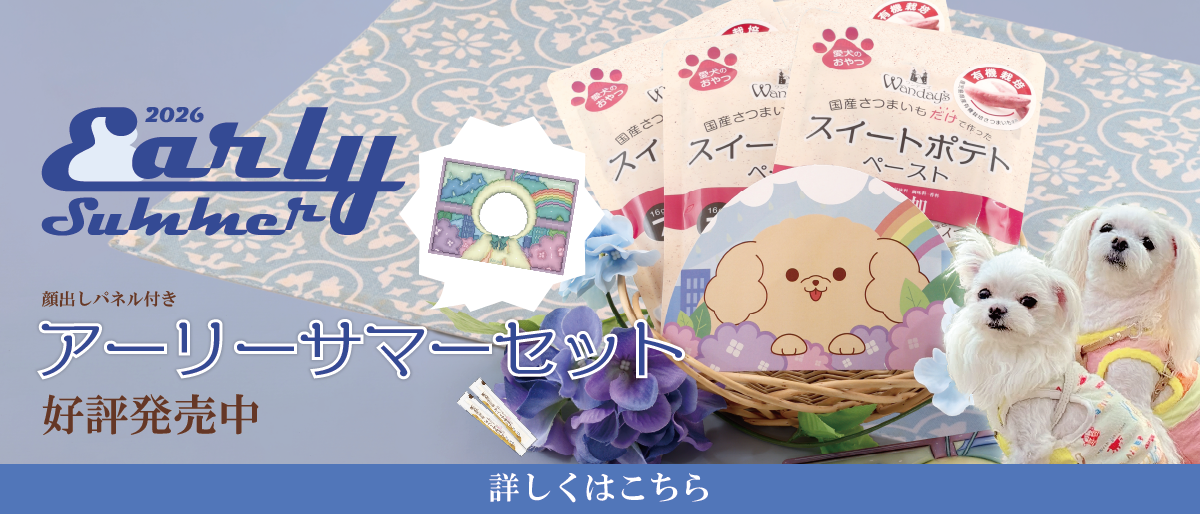 【°˖✧商品情報✧°˖】ワンデーズ「アーリーサマーセット」期間限定販売中！