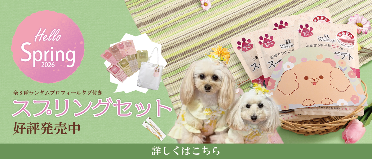 【°˖✧商品情報✧°˖】ワンデーズ「スプリングセット」期間限定販売中!