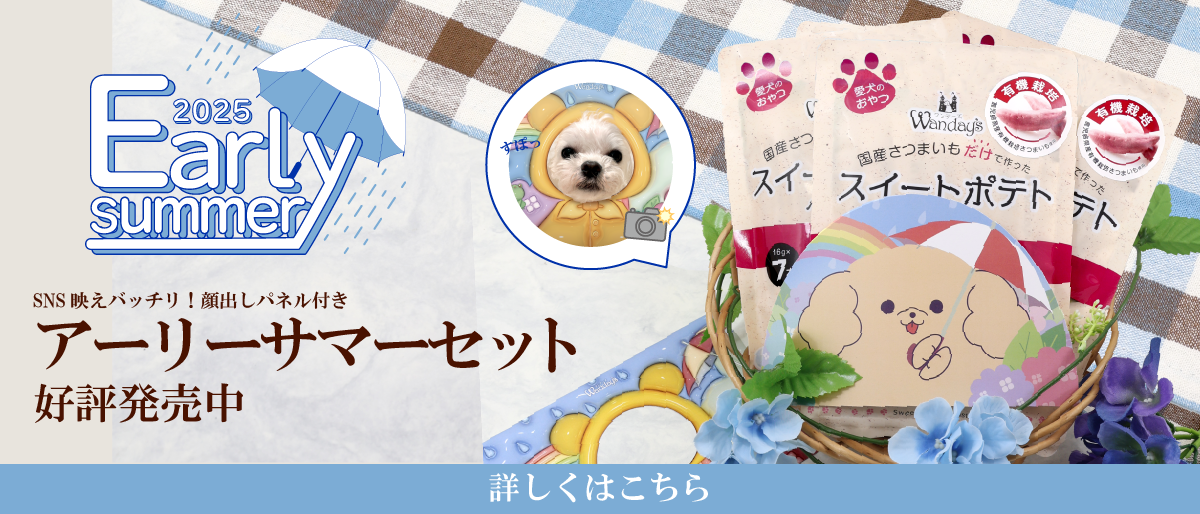 【°˖✧商品情報✧°˖】ワンデーズアーリーサマーセット販売開始