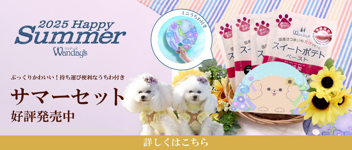 【°˖✧商品情報✧°˖】ワンデーズサマーセット(販売終了)