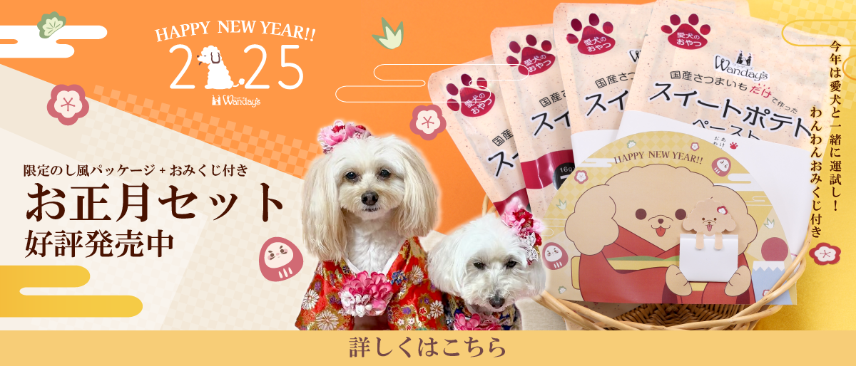 【°˖✧商品情報✧°˖】2025ワンデーズお正月セット（販売終了いたしましました）