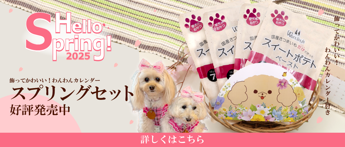 【°˖✧商品情報✧°˖】ワンデーズスプリングセット販売開始