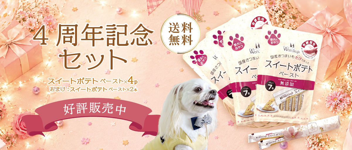 【°˖✧商品情報✧°˖】「4周年記念セット」期間限定販売中!