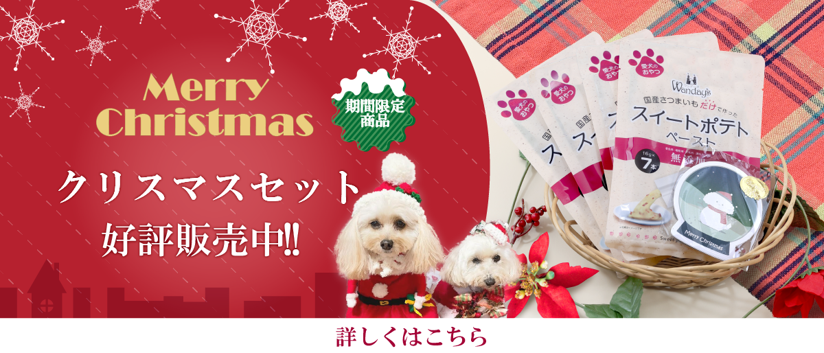 【°˖✧商品情報✧°˖】かわいいカードのおまけ付きクリスマスセット（販売終了いたしました）