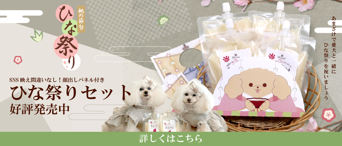 【°˖✧商品情報✧°˖】ワンデーズひな祭りセット（販売終了いたしました。）