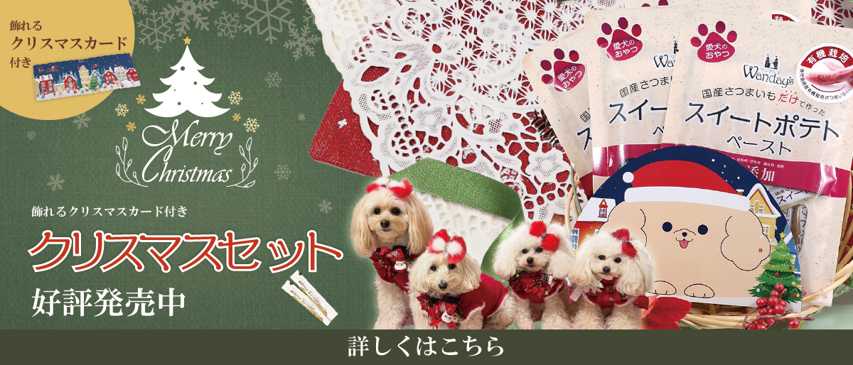 【°˖✧商品情報✧°˖】ワンデーズ「クリスマスセット」期間限定販売中!