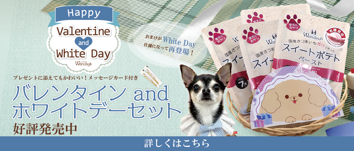 【°˖✧商品情報✧°˖】ワンデーズ「バレンタインandホワイトデーセット」好評販売中！