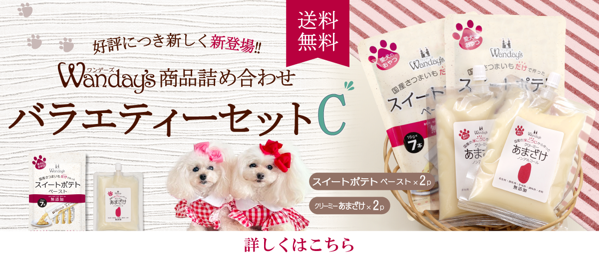 【°˖✧商品情報✧°˖】ご好評につき新登場！新ワンデーズ商品詰め合わせセット好評発売中♪