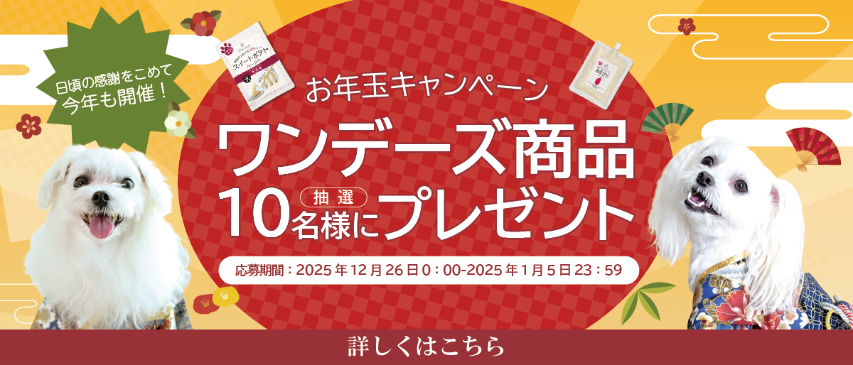 【抽選10名様限定】2026 お年玉プレゼントキャンペーン開催！