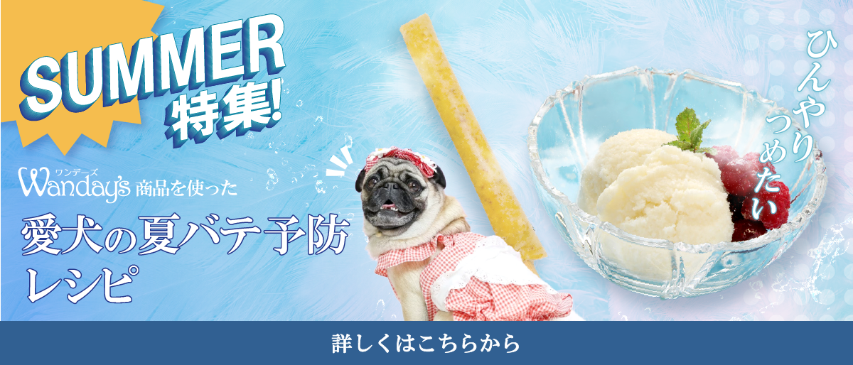 【ワンデーズお役立ち特集】🐾愛犬の夏バテ予防に!ひんやりレシピ特集公開中☀️