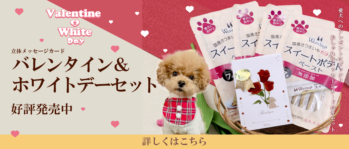 【°˖✧商品情報✧°˖】ワンデーズバレンタイン＆ホワイトデーセット(販売終了いたしました)