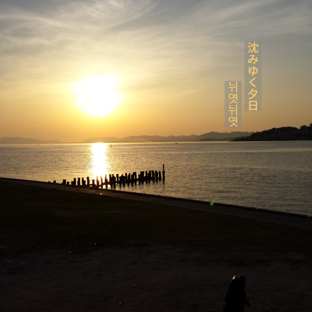 日々の暮らしの中で～沈みゆく夕日～