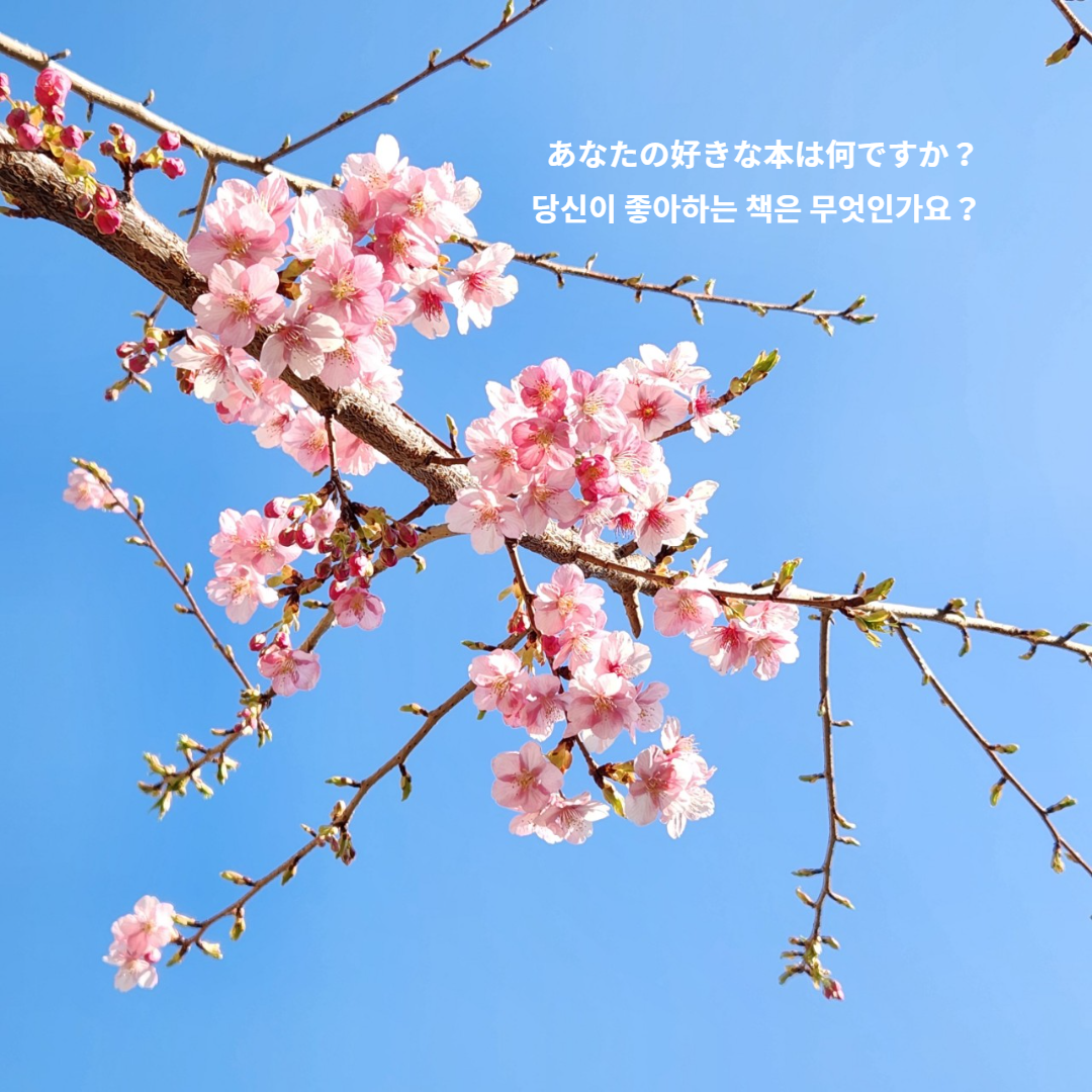 今日の一冊～ひとりだから楽しい仕事　日本と韓国、ふたつの言語を生きる翻訳家の生活～