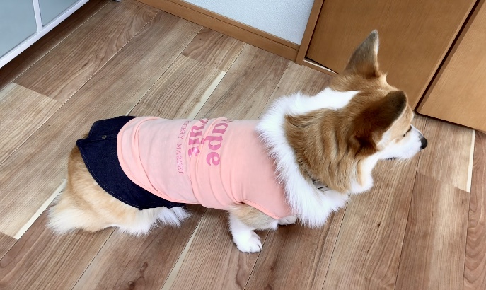 レイヤード デニムシャツ* 着用イメージ